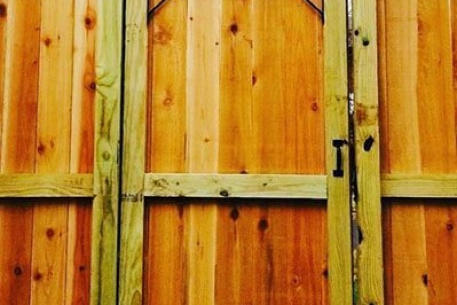 Fence 1