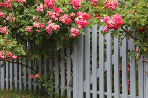 Wood Picket Fence