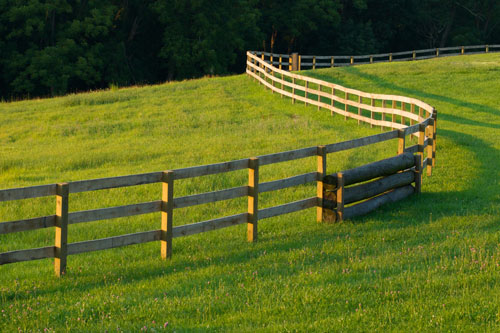 Wood Post and Rail Fence